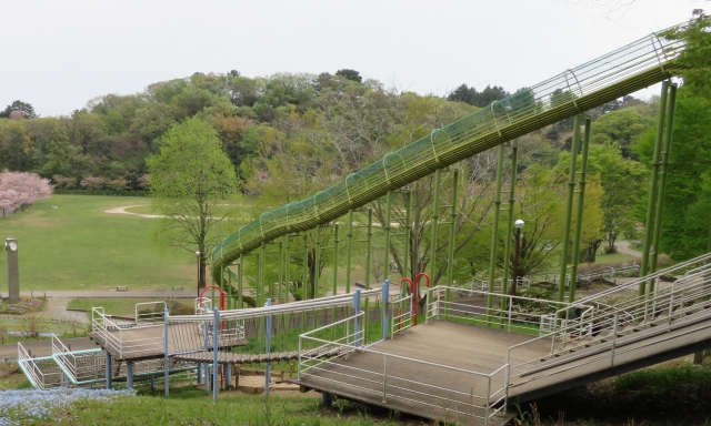 栃木県　公園　家族