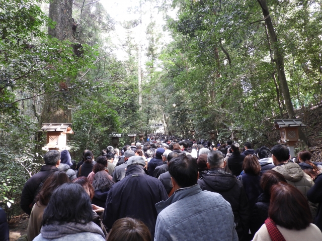 八幡山公園　桜　混み具合　　　駐車場　混雑状況 