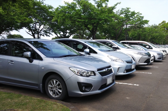 八幡山公園　桜　混み具合　　　駐車場　混雑状況 